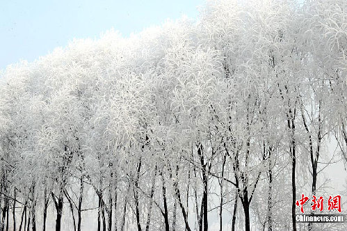 长春雾后现雾凇美景 装扮城市银妆素裹