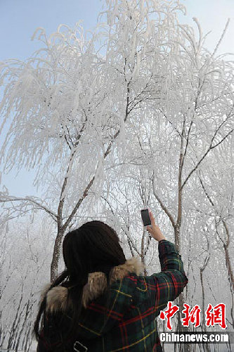 长春雾后现雾凇美景 装扮城市银妆素裹