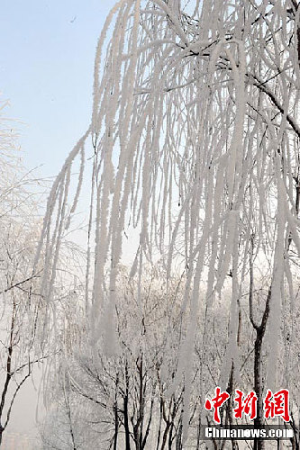 长春雾后现雾凇美景 装扮城市银妆素裹