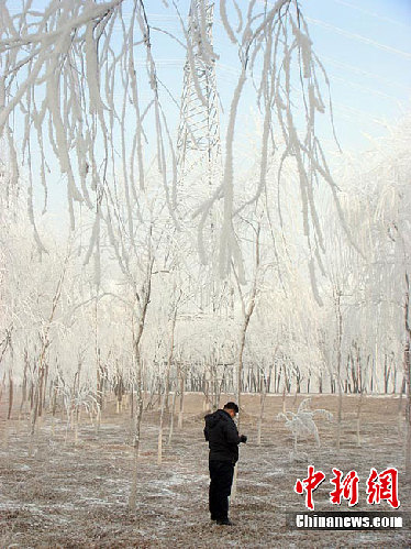 长春雾后现雾凇美景 装扮城市银妆素裹