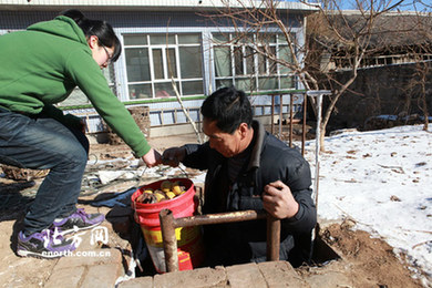 天津蓟县酸梨积压严重 村民愁眉不展盼销路(图)