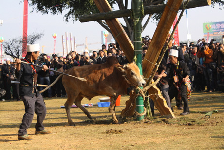 2012中国•德宏景颇族国际目瑙纵歌节隆重举行
