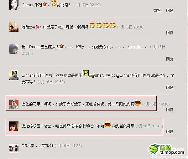 能买猴子当宠物 人类已经无法阻止网购了
