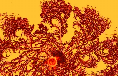 这些微生物吃进的是矿石吐出的是黄金