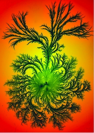 这些微生物吃进的是矿石吐出的是黄金