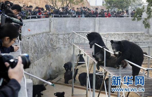 “活熊取胆”该达成什么样的共识
