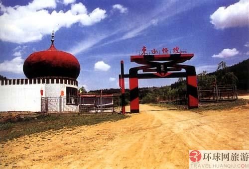 全球各地“怪坡” 体验车往坡上滑奇妙感觉