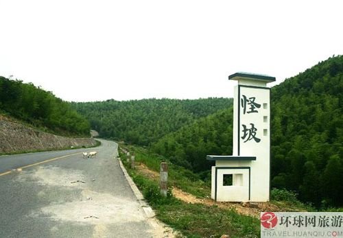 全球各地“怪坡” 体验车往坡上滑奇妙感觉