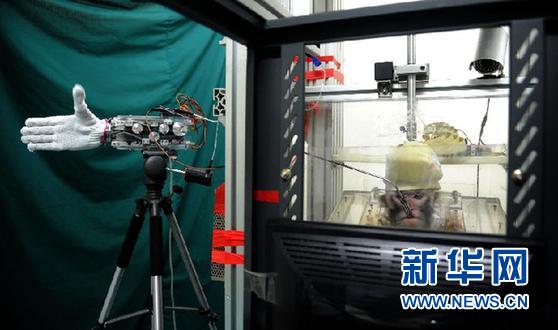 中国科学家实现猴子大脑信号“遥控”机械手