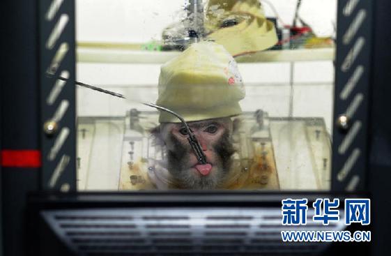 中国科学家实现猴子大脑信号“遥控”机械手