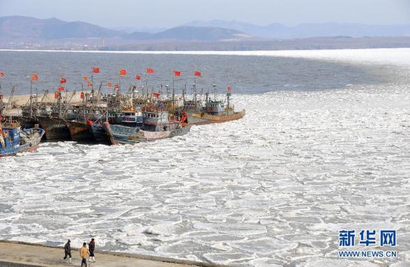 大连海域海冰融化 大量浮冰涌到岸边