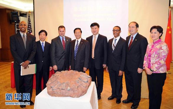 我国成功追回走私珍罕恐龙蛋窝化石回藏地质博物馆