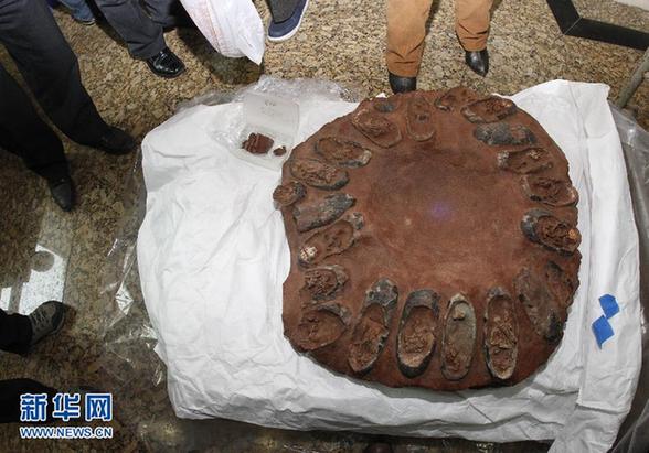我国成功追回走私珍罕恐龙蛋窝化石回藏地质博物馆