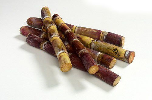 盘点全年12个月最该吃的水果