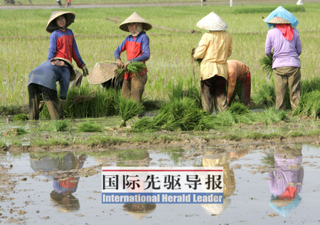 中国人所不知的越南十个方面