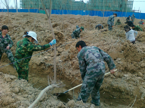 农三师红旗农场积极做好春季植树