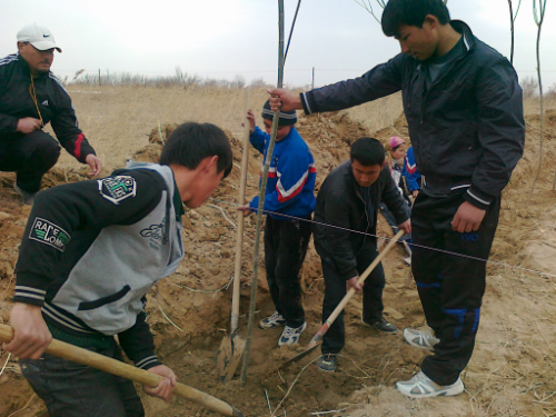 农三师红旗农场积极做好春季植树