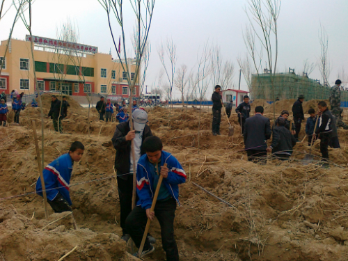 农三师红旗农场积极做好春季植树