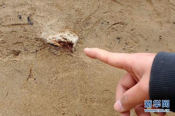 郑州发现4万年前古人类居住遗址