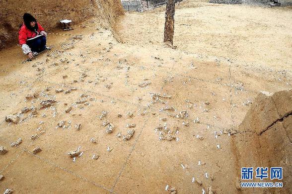 郑州发现4万年前古人类居住遗址