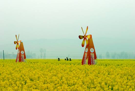 “风过菜花香”：2012•中国最美油菜花海汉中旅游文化节开幕