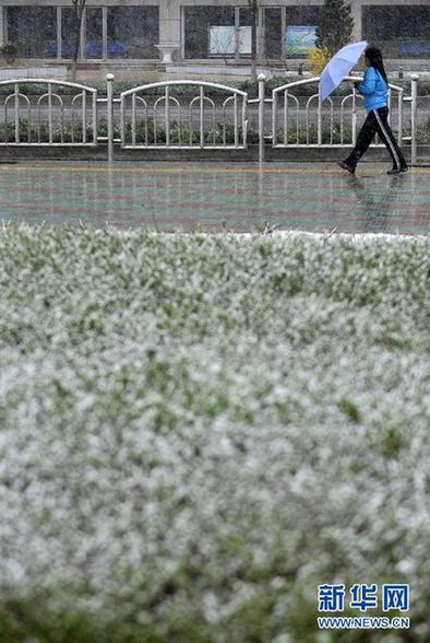“雨雪风沙齐至”：最近天气有点乱 出门请注意