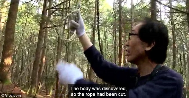 实拍阴森的日本“自杀森林”