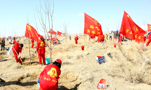 “油城”5000市民植树“染绿”戈壁石油城
