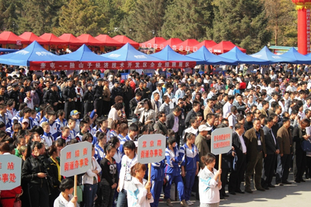 伊犁州人力资源招聘系列活动圆满结束