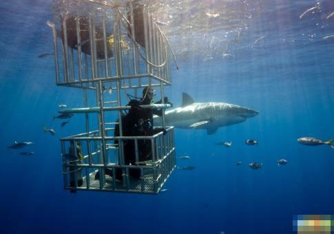 一般人真玩不起！体验极限旅游
