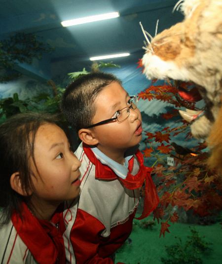 “油城”小学生:地理生态馆里长知识