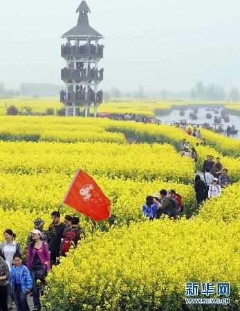留住这春色——一起踏上全球“追花之旅”