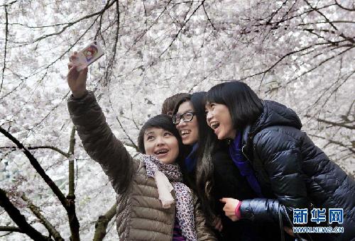 留住这春色——一起踏上全球“追花之旅”