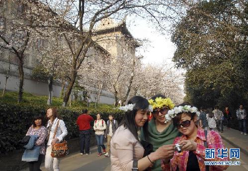 留住这春色——一起踏上全球“追花之旅”