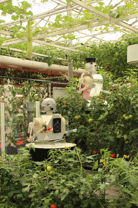 100余项世界前沿农业新成果亮相寿光蔬菜博览会