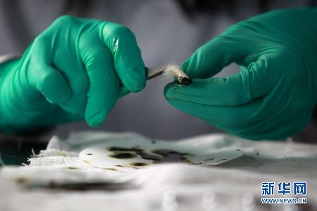 探访北京市药检所 目击胶囊检测全过程