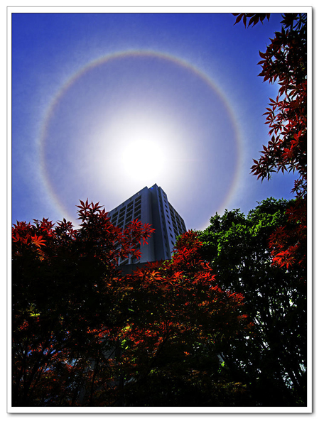 黄山出现神奇日晕