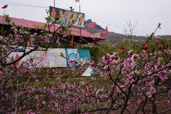 济南南部山区果花盛开吸引节日游客