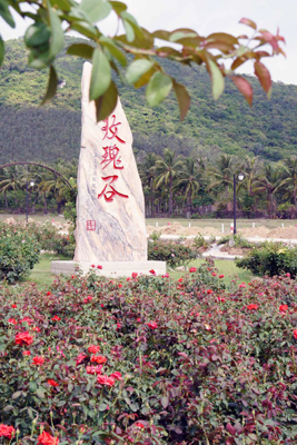 三亚致力发展玫瑰产业打造浪漫城市