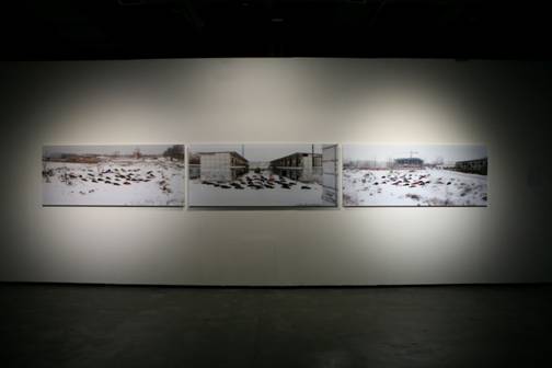 成都当代美术馆举办《漫游世界》、《长江》主题展