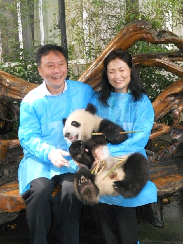 世界五百强企业史丹利百得公司认养八个月大熊猫