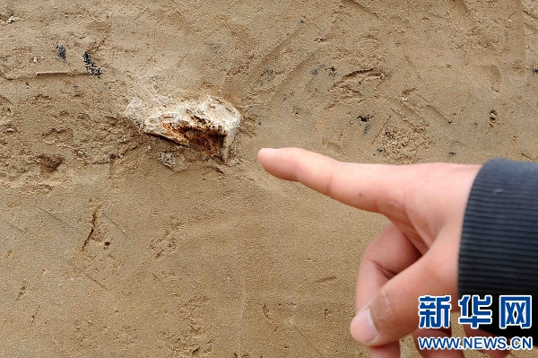 郑州发现4万年前古人类居住遗址 (组图)
