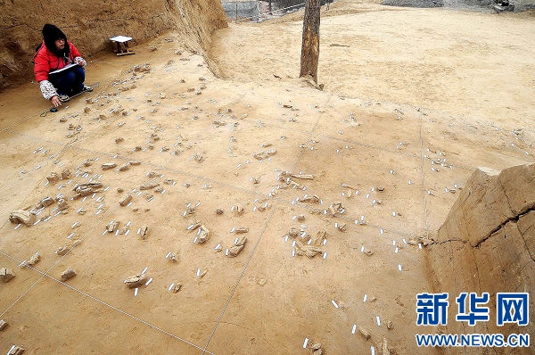 郑州发现4万年前古人类居住遗址 (组图)