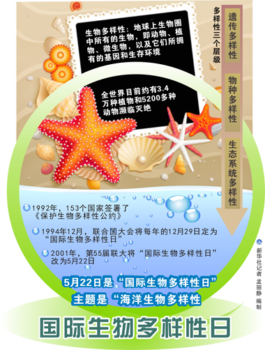 海洋变成荒漠 人类将会怎样？
