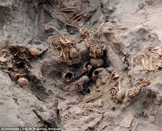秘鲁现千年婴儿木乃伊墓葬或用于人体祭祀[1]