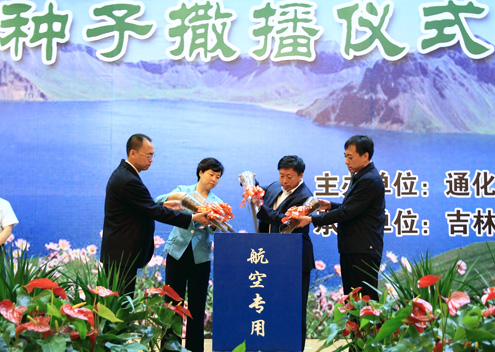 2吨优质人参种子再次撒向长白山脉