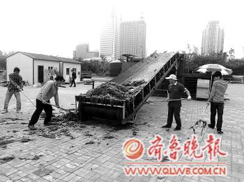 浒苔离青岛仅20公里 浒苔压缩机提前上岗