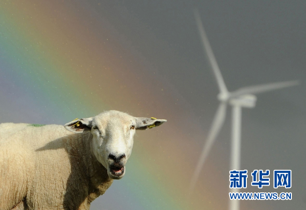 有机农业：科技时代的田园梦(组图)