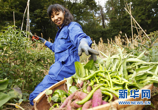 有机农业：科技时代的田园梦(组图)