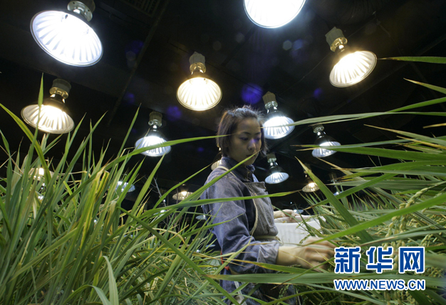 有机农业：科技时代的田园梦(组图)